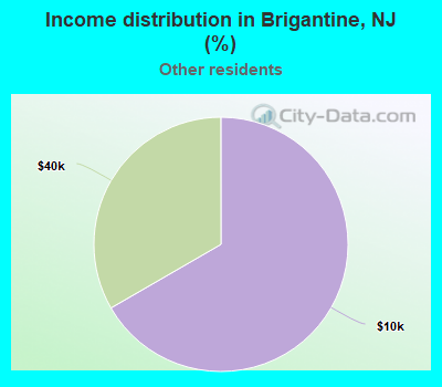 Income distribution in Brigantine, NJ (%)