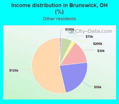 Income distribution in Brunswick, OH (%)