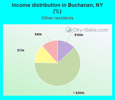 Income distribution in Buchanan, NY (%)