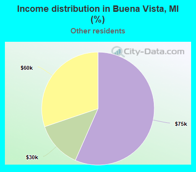 Income distribution in Buena Vista, MI (%)
