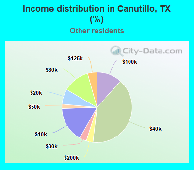 Income distribution in Canutillo, TX (%)