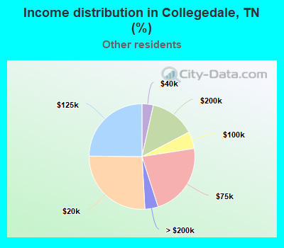 Income distribution in Collegedale, TN (%)