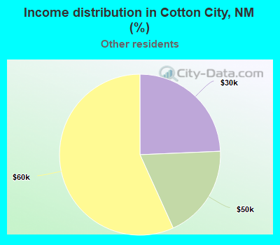 Income distribution in Cotton City, NM (%)