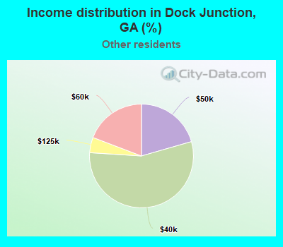 Income distribution in Dock Junction, GA (%)