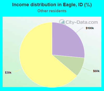 Income distribution in Eagle, ID (%)