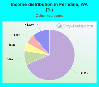 Income distribution in Ferndale, WA (%)