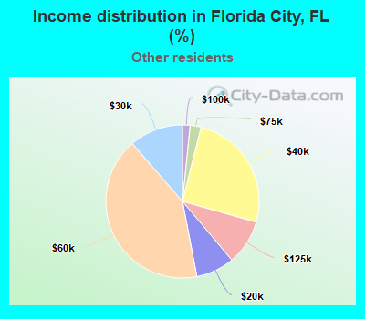 Income distribution in Florida City, FL (%)