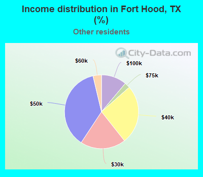 Income distribution in Fort Hood, TX (%)