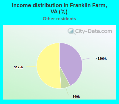 Income distribution in Franklin Farm, VA (%)