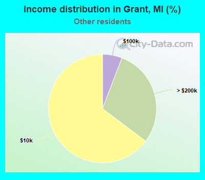 Income distribution in Grant, MI (%)
