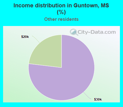 Income distribution in Guntown, MS (%)