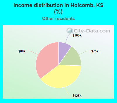 Income distribution in Holcomb, KS (%)