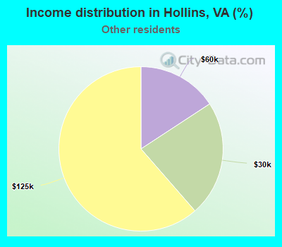 Income distribution in Hollins, VA (%)