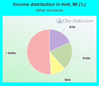 Income distribution in Holt, MI (%)