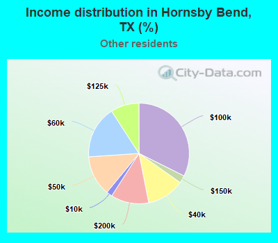 Income distribution in Hornsby Bend, TX (%)