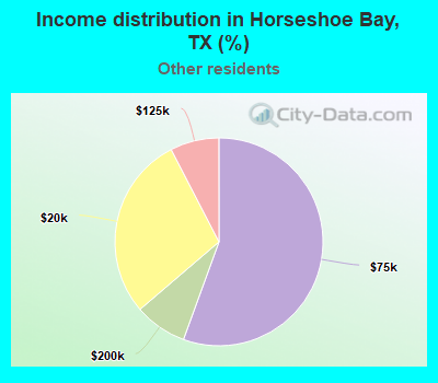 Income distribution in Horseshoe Bay, TX (%)
