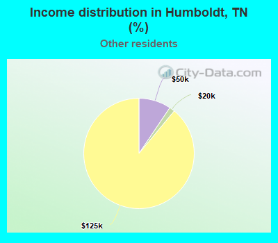 Income distribution in Humboldt, TN (%)