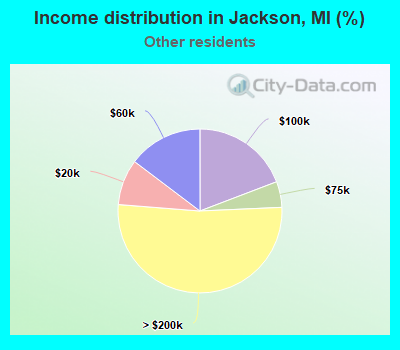 Income distribution in Jackson, MI (%)