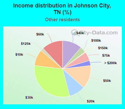 Income distribution in Johnson City, TN (%)