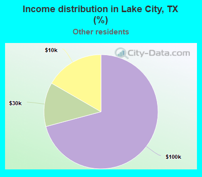 Income distribution in Lake City, TX (%)
