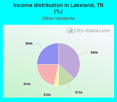 Income distribution in Lakeland, TN (%)