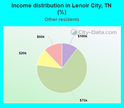 Income distribution in Lenoir City, TN (%)