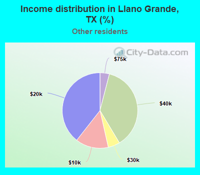 Income distribution in Llano Grande, TX (%)