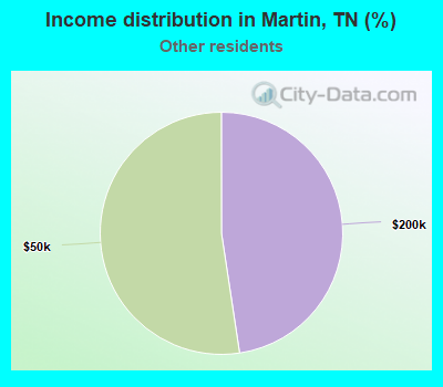 Income distribution in Martin, TN (%)