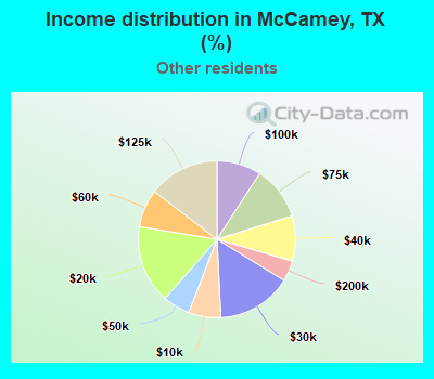 Income distribution in McCamey, TX (%)
