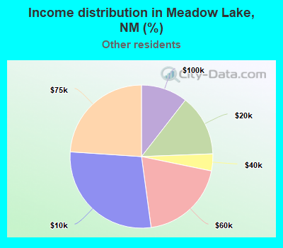 Income distribution in Meadow Lake, NM (%)