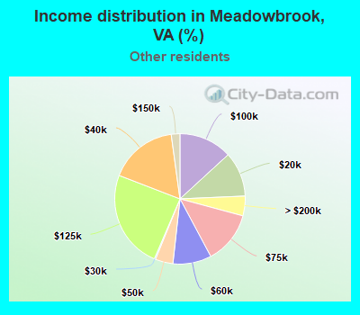 Income distribution in Meadowbrook, VA (%)