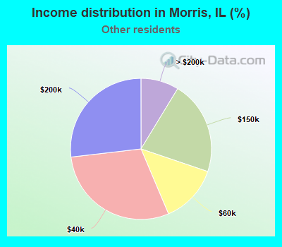 Income distribution in Morris, IL (%)