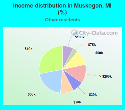Income distribution in Muskegon, MI (%)