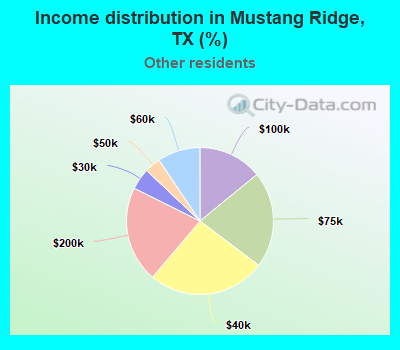 Income distribution in Mustang Ridge, TX (%)