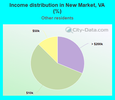 Income distribution in New Market, VA (%)