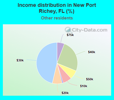 Income distribution in New Port Richey, FL (%)