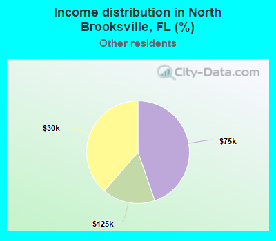 Income distribution in North Brooksville, FL (%)