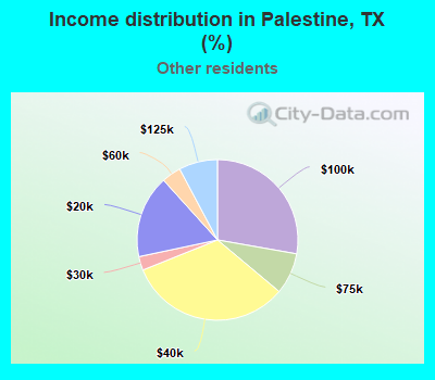 Income distribution in Palestine, TX (%)
