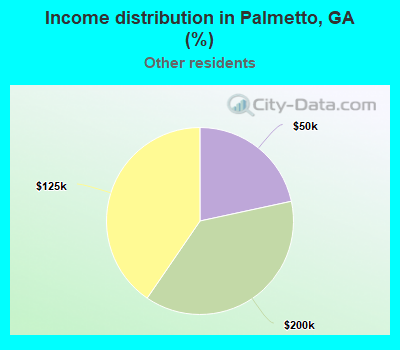 Income distribution in Palmetto, GA (%)