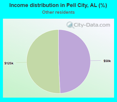 Income distribution in Pell City, AL (%)