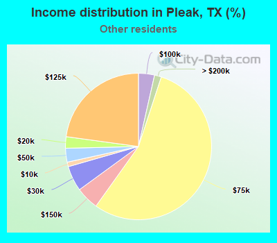Income distribution in Pleak, TX (%)