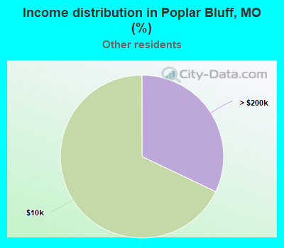 Income distribution in Poplar Bluff, MO (%)
