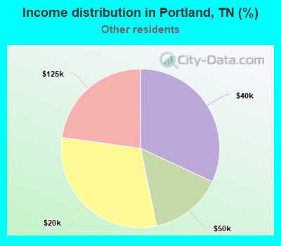 Income distribution in Portland, TN (%)