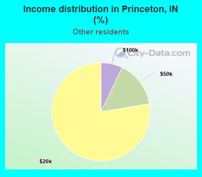 Income distribution in Princeton, IN (%)