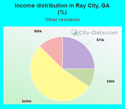 Income distribution in Ray City, GA (%)