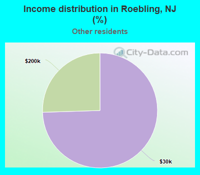 Income distribution in Roebling, NJ (%)