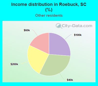Income distribution in Roebuck, SC (%)