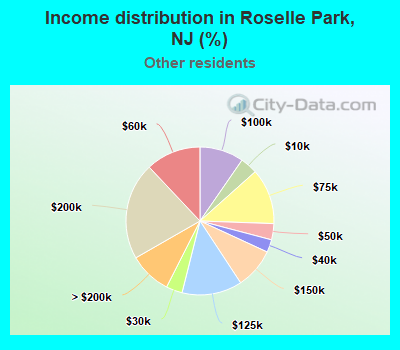 Income distribution in Roselle Park, NJ (%)