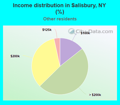 Income distribution in Salisbury, NY (%)