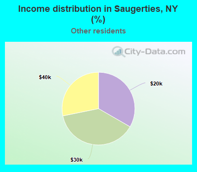 Income distribution in Saugerties, NY (%)